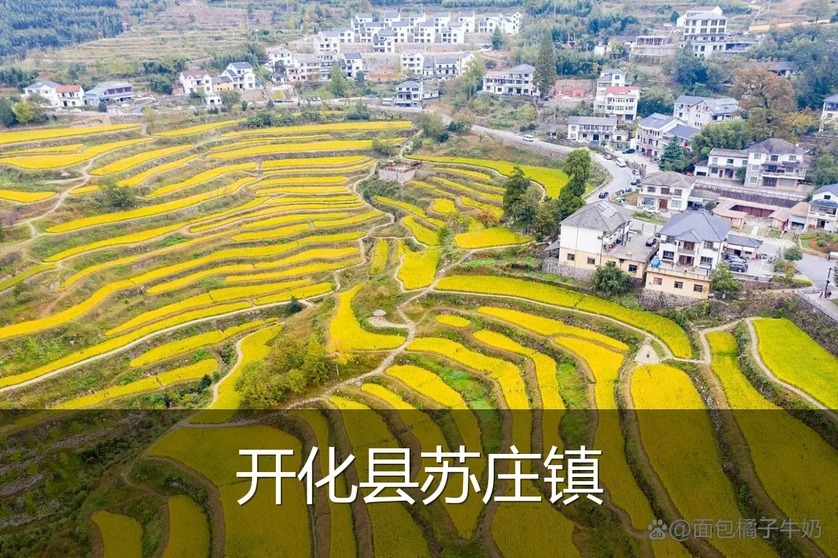 开化县苏庄镇